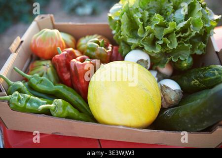 Un assortiment vibrant de légumes et de fruits frais et biologiques dans une boîte en carton, mettant en valeur la richesse d'une récolte de jardin durable. Parfait pour pr Banque D'Images