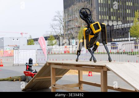 Un quadrupède robotisé est présenté lors de XPONENTIAL Europe 2026 au Messe Düsseldorf à Düsseldorf, Allemagne, le 24 mars 2026. Crédit : Aleksandr Nagornyi/Alamy Live News Banque D'Images