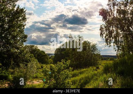 Paysage d'été luxuriant avec des arbres verdoyants, de l'herbe ensoleillée et un ciel étendu orné de nuages moelleux. Une escapade paisible en plein air Banque D'Images