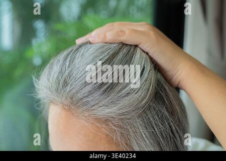 Femme montrant les cheveux gris et les racines tout en touchant sa tête avec sa main. Concept de bien-être et de soins capillaires Banque D'Images