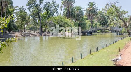 Paysage urbain avec pont de fer sur l'étang menant à la petite île avec de nombreux oiseaux au parc 'Tres de Febrero' dans le district de Palerme de la capitale Argentine, Banque D'Images