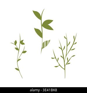 Trois tiges de plantes stylisées vertes distinctes sont présentées comme un ensemble décoratif. Chaque tige montre des motifs de feuilles uniques et des ramifications, affichés proprement sur un fond blanc brillant. Illustration de Vecteur