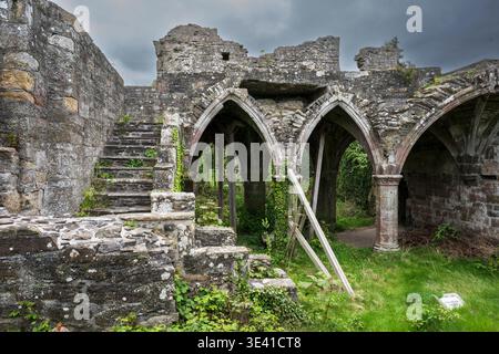 Vue atmosphérique des ruines de l'abbaye de Balmerino en Écosse, montrant des arches en pierre altérées, des marches couvertes de mousse, des murs recouverts de lierre et des supports en bois au milieu de gre Banque D'Images
