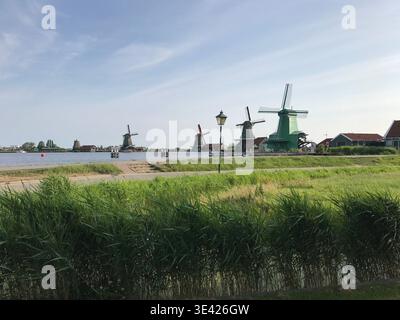 Paysage hollandais traditionnel, avec des moulins à vent historiques le long de la rivière Zaan et les canaux environnants. Herbe verte luxuriante, eau calme, moulins à vent en bois Banque D'Images