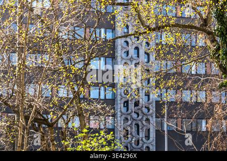 Un arbre printanier avec des bourgeons jaune-vert devant le bloc préfabriqué abritant le siège de la Stasi, avec sa tour ornementale en béton distinctive (communément appelée « tour d’écoute ») ; la végétation contraste avec la façade grise du bâtiment. Leipzig, Saxe, Allemagne Banque D'Images