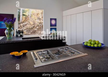 Cuisine minimaliste d'Aspen avec vue sur les montagnes et plans de travail sombres et élégants Banque D'Images