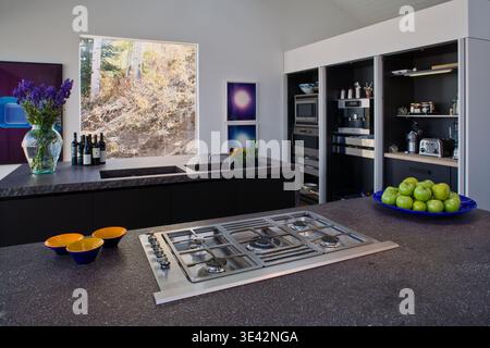 Cuisine moderne en épicéa avec vue sur les montagnes et appareils intégrés élégants Banque D'Images