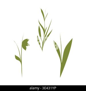 Trois tiges de plantes vertes stylisées distinctes sont disposées sur un fond blanc propre. Chaque élément botanique présente des formes de feuilles uniques, formant une illustration simple et fraîche. Illustration de Vecteur