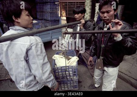 Lapin au marché des fruits de mer et des animaux dans la ville de Guangzhou dans la province de Guangdong en chine en asie de l'est. Chine, Guangzhou, avril 2000 Banque D'Images