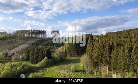 Cette photographie aérienne capture un paysage forestier diversifié dans la région des Hautes Fagnes en Belgique. L'image présente un mélange de conifères denses an Banque D'Images