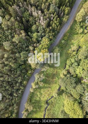 Cette vue aérienne à couper le souffle met en valeur une route sinueuse qui est enveloppée par des arbres vibrants et une végétation luxuriante Banque D'Images
