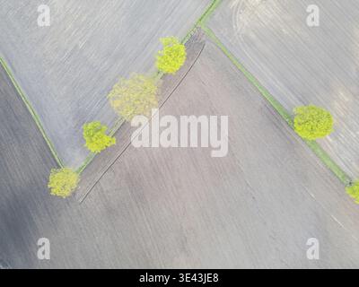 Une superbe prise de vue aérienne montrant des arbres verts éclatants sur des champs agricoles bruns texturés en contrebas Banque D'Images