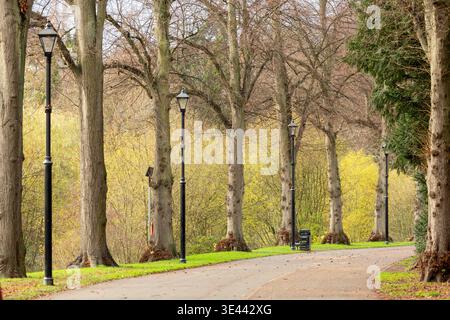 Un chemin bordé de tre à travers Quarry Park, Shrewsbury, Shropshire, Angleterre Banque D'Images