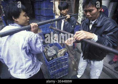 Lapin au marché des fruits de mer et des animaux dans la ville de Guangzhou dans la province de Guangdong en chine en asie de l'est. Chine, Guangzhou, avril 2000 Banque D'Images