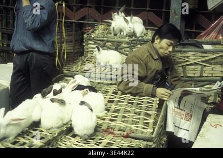 Lapin au marché des fruits de mer et des animaux dans la ville de Guangzhou dans la province de Guangdong en chine en asie de l'est. Chine, Guangzhou, avril 2000 Banque D'Images