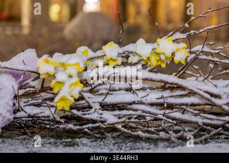260325Wintereinbruch News ID : en 2026-03-25-2 Wintereinbruch im oberen Erzgebirge sorgt für 4 Zentimeter Neuschnee und Schneeverwehungen auf dem Fichtelberg / Tief Marlis sorgt für Wintereibruch und beendet Frühling Oberwiesenthal. Spätwinter statt Frühling. Da hatten wir uns schon SO an das milde Frühlingswetter gewöhnt und jetzt das : mit kalter Polarluft Hat das Tiefdruckgebiet Marlis den Winter zurück in die Mittelgebirge gebracht. BEI Temperaturen knapp unter dem Gefrierpunkt sorgten Schneefälle in Oberwiesenthal und auf dem Fichtelberg für eine geschlossene Schneedecke. Dazu sorgte starke Banque D'Images