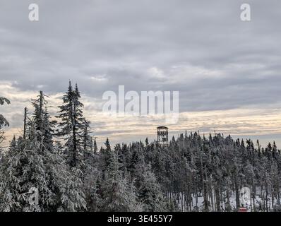 Une vue imprenable d'une piste de ski et d'un télésiège près de la ville de Mont-Tremblant, Québec. Beaux arbres enneigés, pentes et forêts Banque D'Images