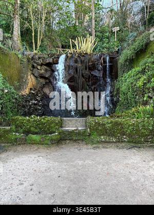 Petite cascade en cascade au-dessus de Mossy Rocks dans un jardin luxuriant à Sintra Portugal Banque D'Images
