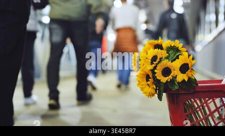 Tournesols dans le panier rouge se déplaçant dans le métro de Moscou avec la foule floue. Vente de fleurs de rue. Banque D'Images