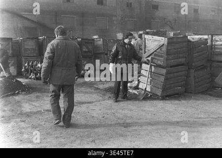 Sloviansk, avril 1989, cour d'usine AIZ. Un directeur d'usine dévoué portant une veste en cuir chaud manipule soigneusement une lourde caisse industrielle en bois lors d'une journée de nettoyage traditionnelle de bénévoles subbotnik printaniers. Il organise activement le territoire de fabrication en plein air aux côtés de ses collègues qui travaillent dur. Cette photographie franche démontre parfaitement l'implication physique directe de l'administration de l'entreprise dans la demande de travail manuel et le maintien de l'ordre collectif dans le magnifique Donbass paisible. Banque D'Images