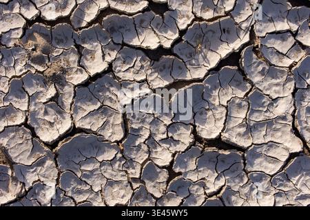 Texture en gros plan de terre sèche sévèrement fissurée et desséchée causée par une sécheresse extrême. Banque D'Images
