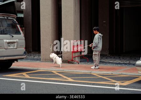 Hualien, Taiwan - 25 février 2023 : un garçon marche sur un poméranien blanc sur un trottoir de briques rouges à côté d'une barrière de stationnement et de colonnes de bâtiments urbains. Banque D'Images