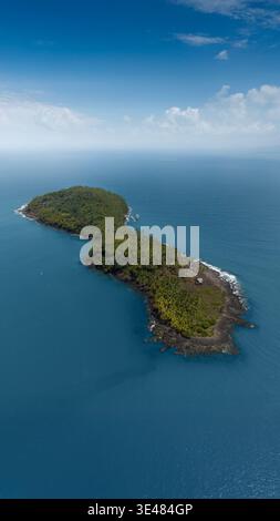 Vue aérienne de l'île tropicale luxuriante de Saint-Joseph avec des palmiers denses et des rivages rocheux entourés par l'océan Atlantique bleu Iles du Salut, FR Banque D'Images