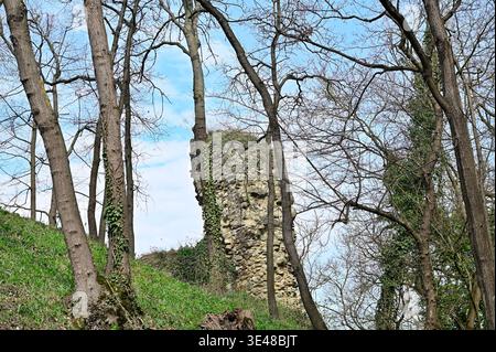 Hainburg, basse-Autriche, Autriche. 23 mars 2026. Ruines du château de Röthelstein à Hainburg an der Donau Banque D'Images