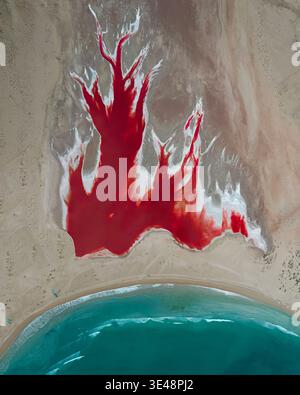 Vue aérienne d'un lac de sel rouge vibrant avec une forme d'arbre et des croûtes de sel blanc le long de la côte turquoise d'Oman. Banque D'Images