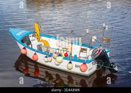 Petit bateau de pêche ouvert blanc et bleu ou Coble avec moteur hors-bord Mariner et bouées colorées amarrées sur une eau calme Banque D'Images