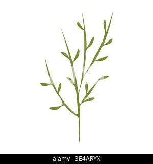 Une seule tige de plante verte stylisée avec plusieurs petites branches de feuilles vers le haut. Il se tient seul sur un fond blanc clair, présentant un élément botanique simple. Le design est propre et direct. Illustration de Vecteur