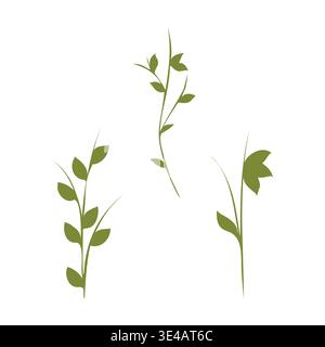 Trois tiges de plantes vert olive stylisées avec des motifs de feuilles uniques sont disposées en trio décoratif. Illustration de Vecteur
