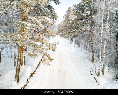 Photographie de drone montrant une route forestière enneigée entre pins givrés et bouleaux dans le paysage hivernal sibérien, mise au point sélective Banque D'Images