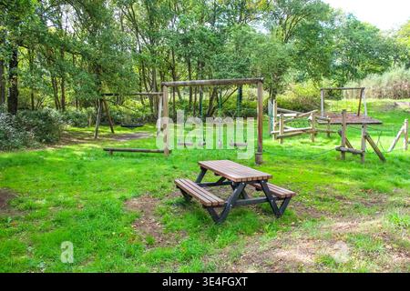 Une aire de jeux extérieure dans une forêt luxuriante comprend une table de pique-nique en bois, diverses balançoires et une structure d'escalade sur l'herbe verte vibrante. Banque D'Images