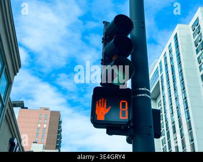 Un feu de circulation avec un symbole de main indique aux piétons de s'arrêter. Le compte à rebours indique huit secondes restantes. Les bâtiments et le ciel bleu sont vi Banque D'Images
