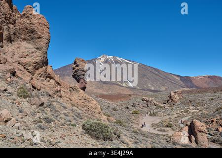 Teide, Tenerife, 13 janvier 2026, Un groupe de visiteurs se promène le long des sentiers de sable ocre et de roches basaltiques qui s’étendent au pied de l’imposant Mo Banque D'Images