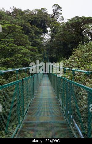 Un pont suspendu à Monteverde, au Costa Rica, enjambe la verrière luxuriante de la forêt tropicale. Entouré d'une végétation verdoyante, il offre une vue sereine sur tr Banque D'Images