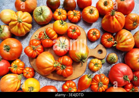 Tomates anciennes vibrantes récoltées sur une surface rustique Banque D'Images