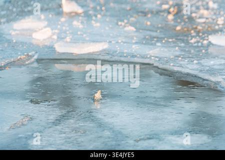 Vue rapprochée de la rivière partiellement gelée, éclairage de jour ensoleillé, perspective basse, glace bleu-gris fraîche avec des taches blanches Banque D'Images