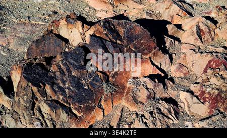 Une photographie détaillée en gros plan d'une surface rocheuse altérée dans un environnement aride et sec. L'image se concentre sur une grande formation centrale caractérisée Banque D'Images