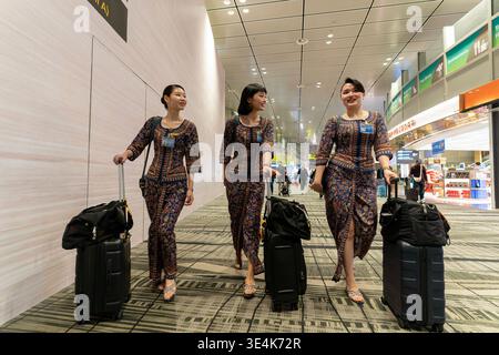Singapour - 9 décembre 2025 : trois membres d'équipage de cabine de Singapore Airlines traversent le terminal 3 de l'aéroport de Changi, chacun avec des bagages roulants. Banque D'Images