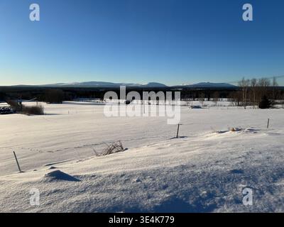 Vaste paysage enneigé sous un ciel bleu clair dans le nord de la Suède Banque D'Images