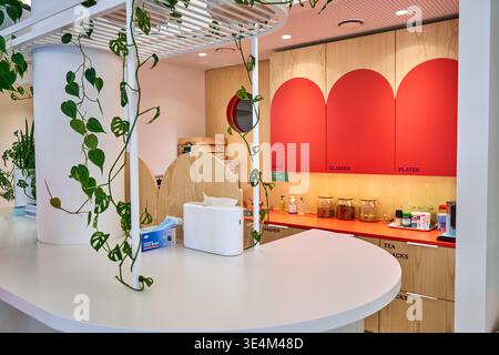 Une cuisine de bureau moderne ou un intérieur de salle de pause avec un comptoir blanc incurvé au premier plan avec des vignes de pothos vertes suspendues drapées d'un Banque D'Images
