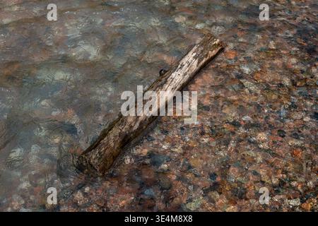Une scène sereine avec un rondin d'eau entouré de galets colorés dans un ruisseau tranquille Banque D'Images