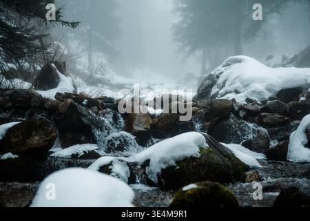 Ruisseau d'hiver serein au milieu d'un paysage de forêt brumeuse avec des rochers enneigés et un débit d'eau doux Banque D'Images