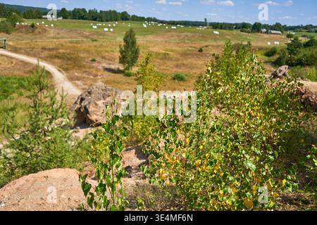 Une vue panoramique du paysage rural par une journée ensoleillée avec des collines ondulantes en arrière-plan. Au premier plan, il y a des buissons verts et de jeunes arbres avec Banque D'Images