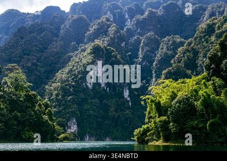 Les montagnes boisées abruptes s'élèvent au-dessus de l'eau calme, avec une végétation tropicale dense couvrant les falaises accidentées. Banque D'Images