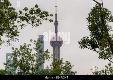 5 mai 2025, Shanghai, Chine : tour de perles orientales derrière les arbres à Shanghai Banque D'Images