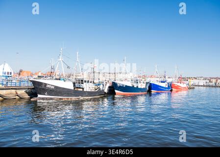 Pologne île de Hel , 23 mars 2026, rangée de tailleurs de pêche et de chalutiers colorés traditionnels amarrés à la jetée dans le port de la péninsule de Hel, Pologne, Banque D'Images