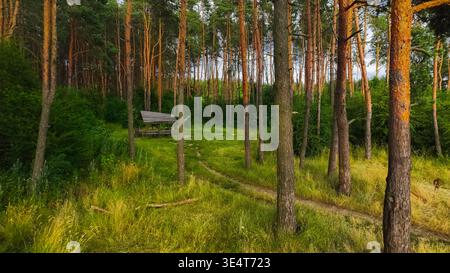 Une vue aérienne capture un paysage estival tranquille avec un belvédère isolé entouré d'une forêt verdoyante et d'un chemin de terre sinueux Banque D'Images